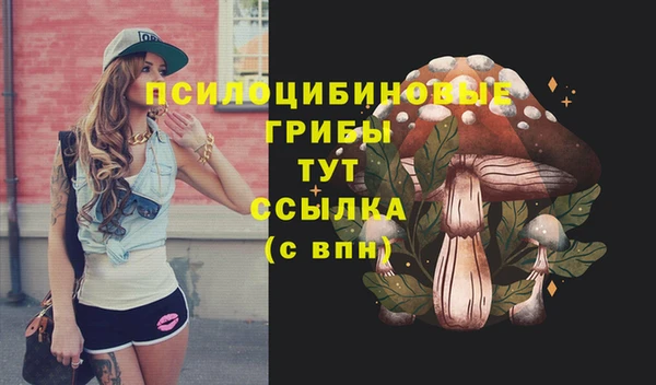 шишки Лиски