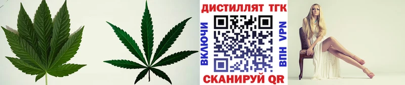 Купить закладки Александровск ТГК концентрат